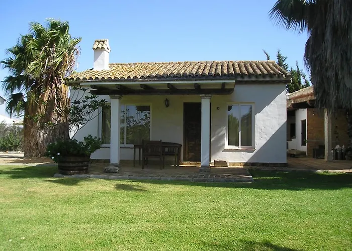 El Olivar de Roche Viejo
