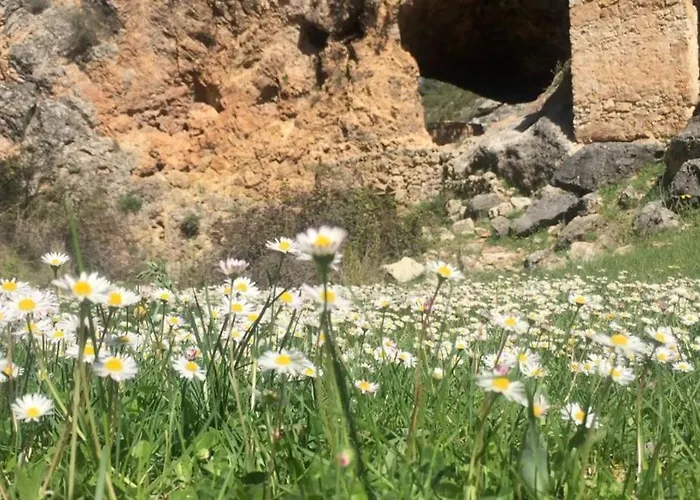 Villa La Escapada Cuenca Pajaroncillo, España