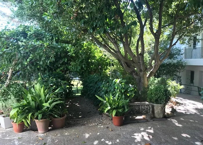 Rural Mariblanca