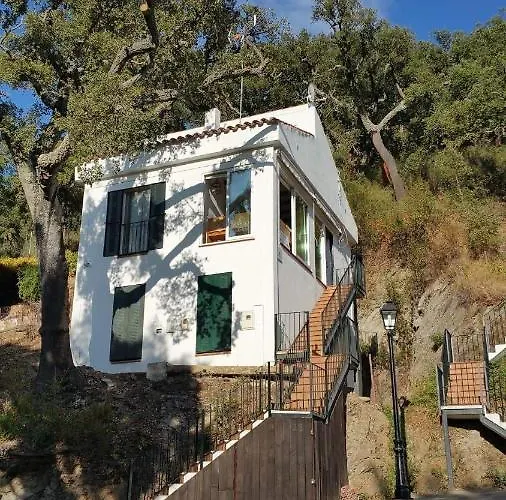 Casa Mandarina
