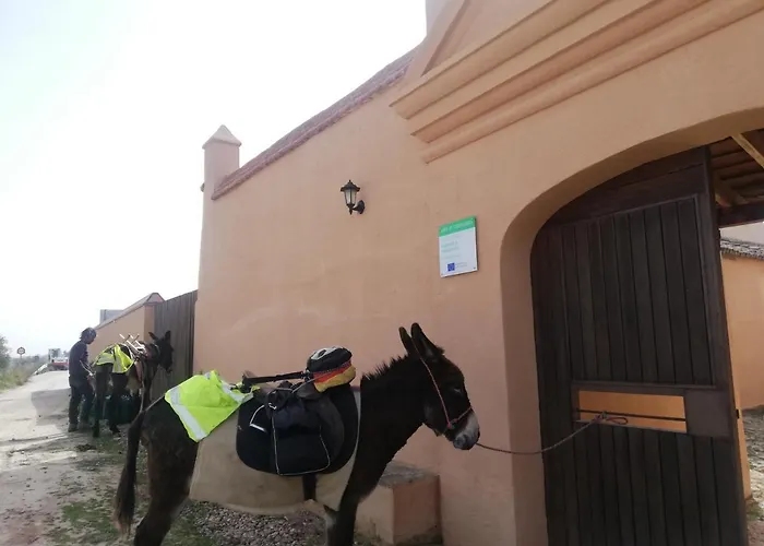 Albergue Turistico La Almazara Villafranca de los Barros, España