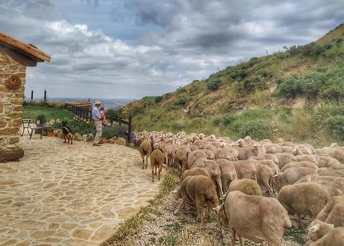 Masía el Cabrero
