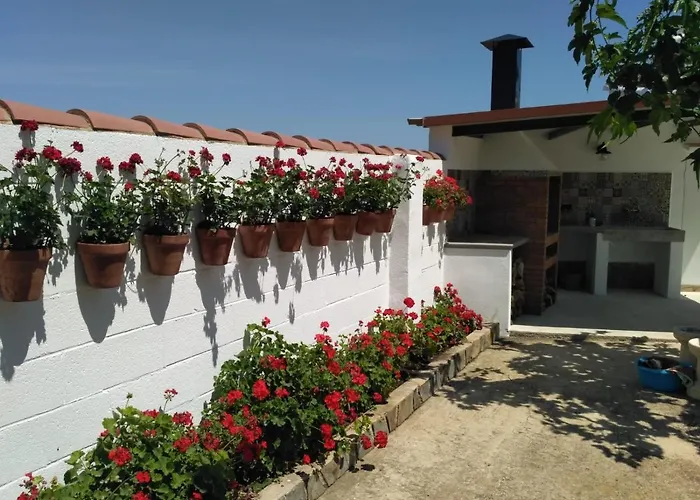 Caseta Del Chato Deltebre, España
