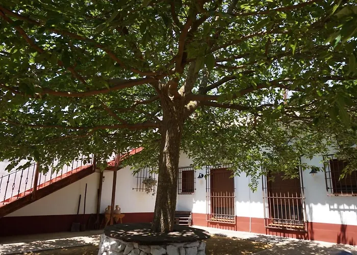 Casa Rural El Palomar