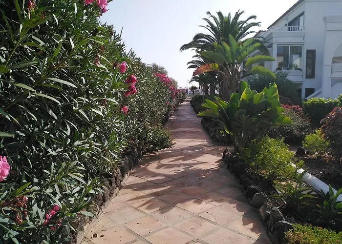 La Palmera Amarilla Golf