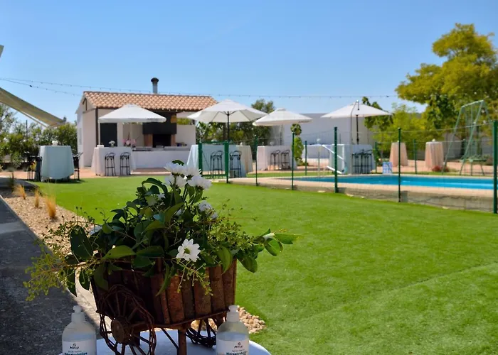 Casa Rural Entre Almendros Villa El Toboso, España