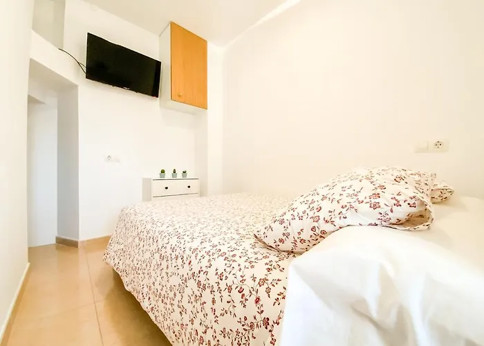 Apartamentos sapoconcho