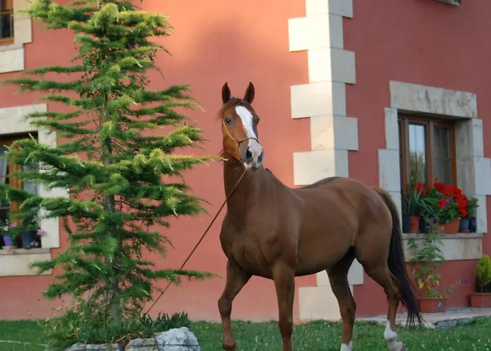 CASUCAS LA GUARIZA ( Casa Marta)