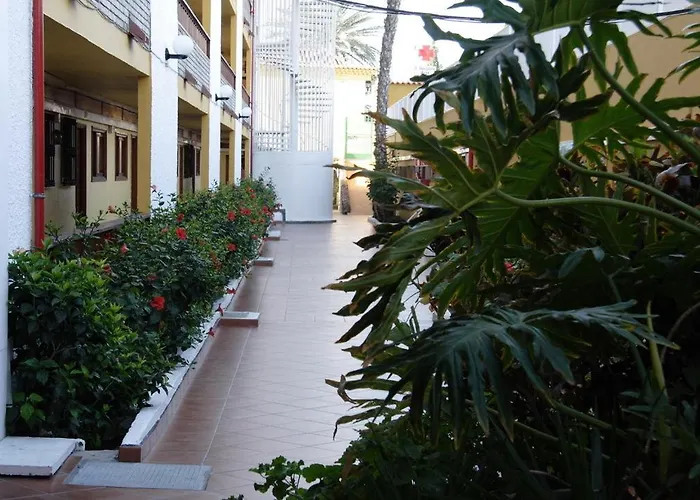 Apartamentos Los Tilos