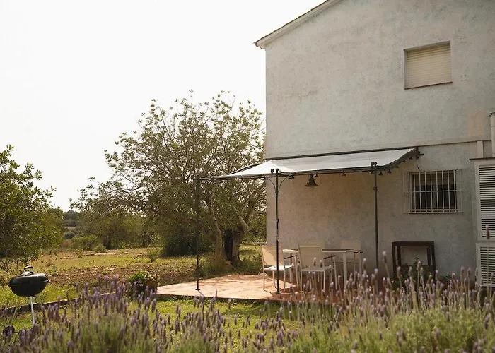 Masia Bartomeu Rural House Between Vineyards 2Km From The Beach