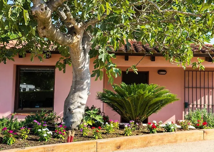 Camping El Pinar