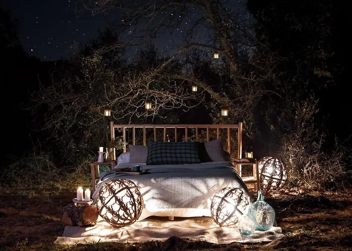 Nits De Bosc