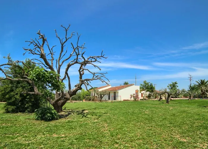Finca Olivar De La Bardena