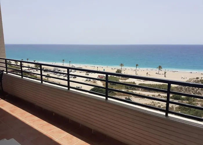 Partida Paraiso 4-8E
