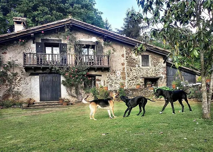 Mas Els Plans La Casa Pensada Para Perros Que Viajan Con Sus Humanos