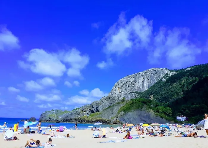 Playa Laga Ebi952