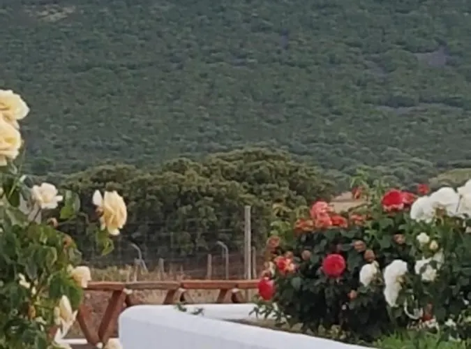 La Rinconada