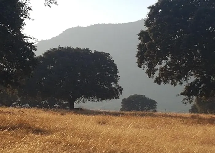 Finca La Rinconada Calamonte, España