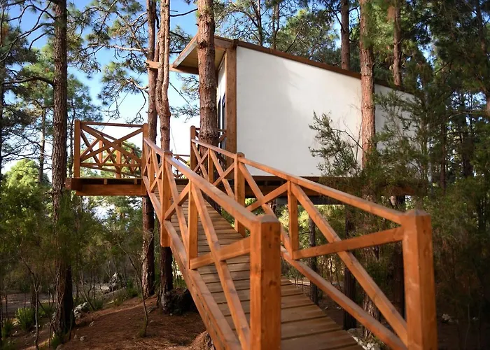 Casita colgada Can Lia
