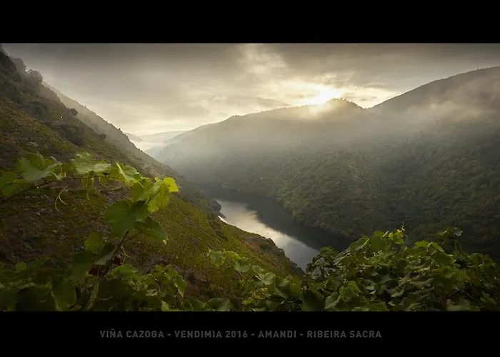 Viña Cazoga