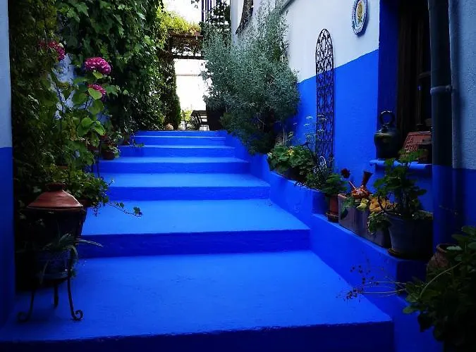 La Seguiriya