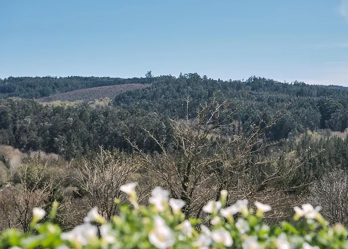 Pensión A Solaina 3 O Pedrouzo, España
