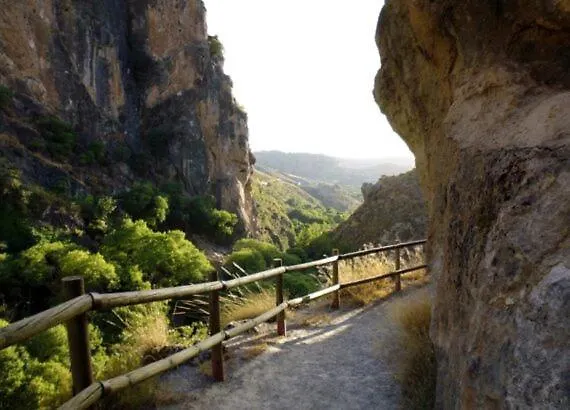 At Vista Granada