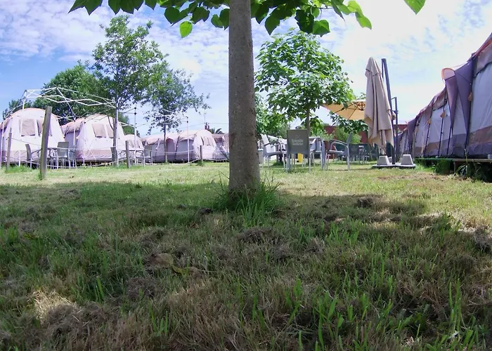Camping Peregrino - Low Cost Glamping