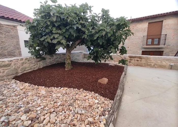 Casa Lagarto,
