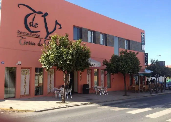 León Tierra De Vinos