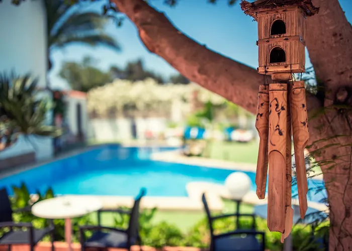 Azuline Hotel Galfi (Adults Only) San Antonio , Spanje
