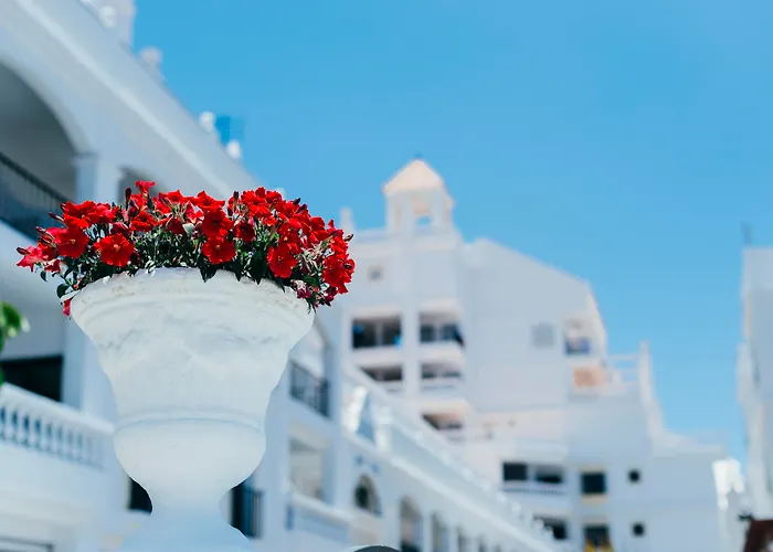 Ona Hollywood Mirage Aparthotel Los Cristianos , Spanje