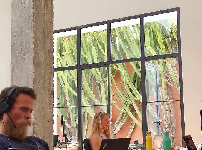 Cactus Coliving & Coworking