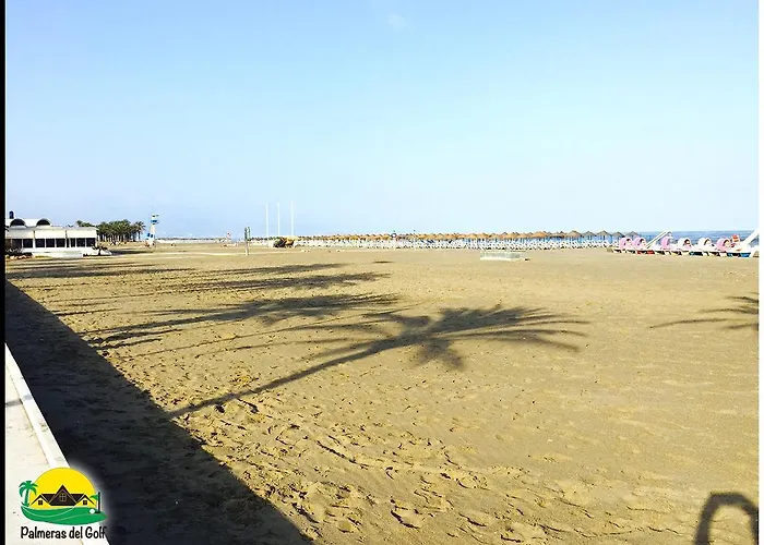 Palmeras del Golf - Torrequebrada Benalmádena, España