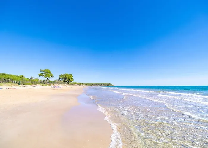 Camping Las Palmeras Tarragona, España