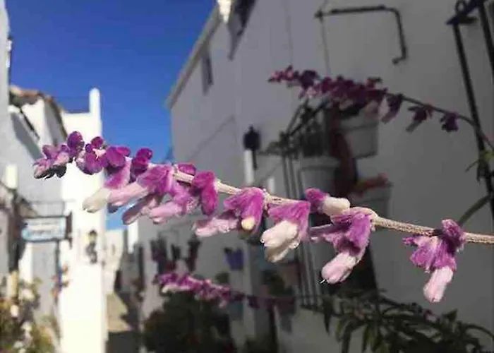 Casa Arena y Sal en pleno casco antiguo de Vejer