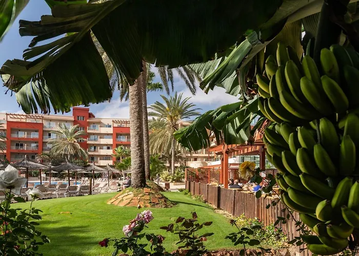 Elba Carlota Beach & Golf Resort Caleta de Fuste, España