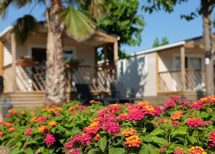 Camping El Pinar