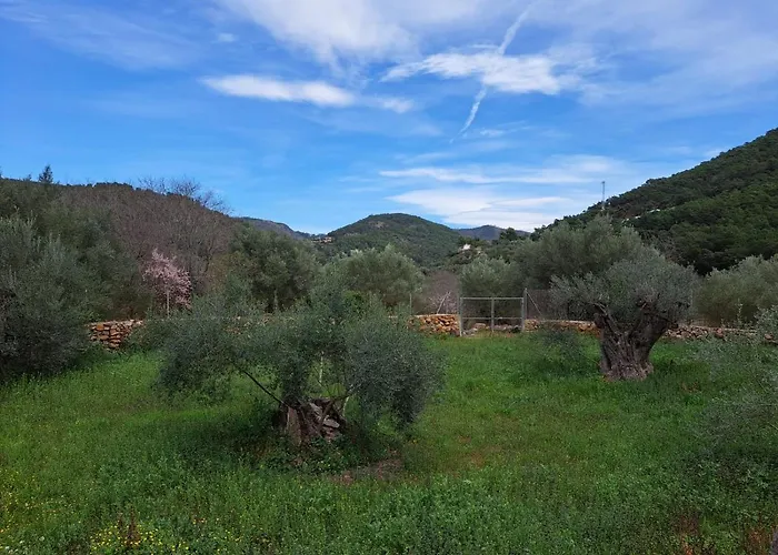Paraiso Cuantico
