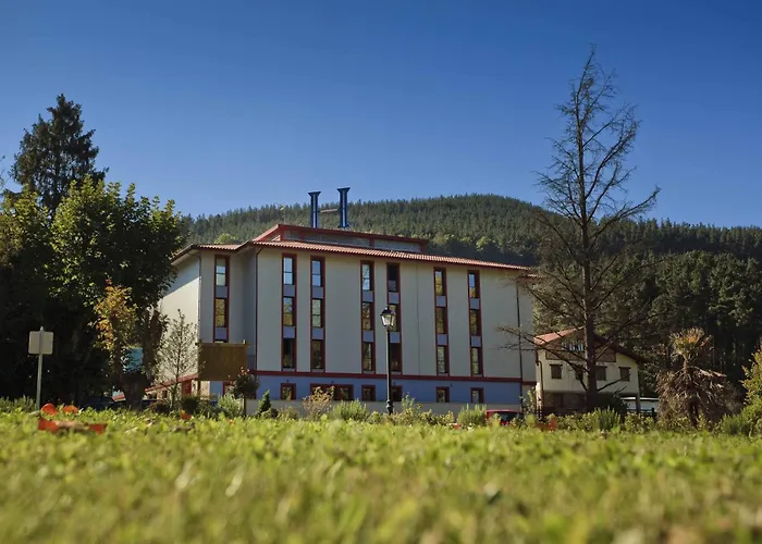 Hotel Balneario Areatza Nº 01224, Spain