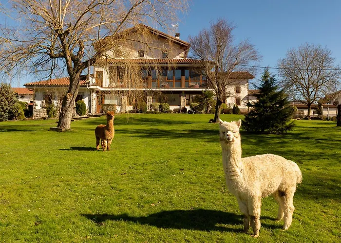 Casa Rural Flor de Vida - B&B