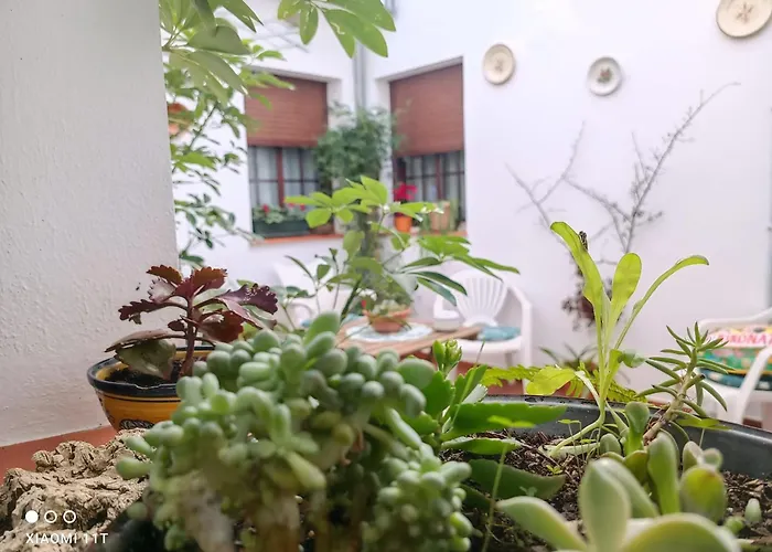 Hospederia Y Aptos Casa De Las Piedras
