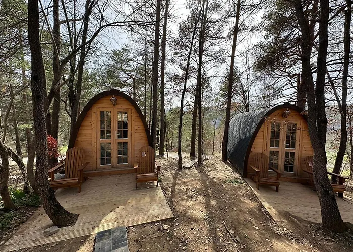 Camping Ripolles