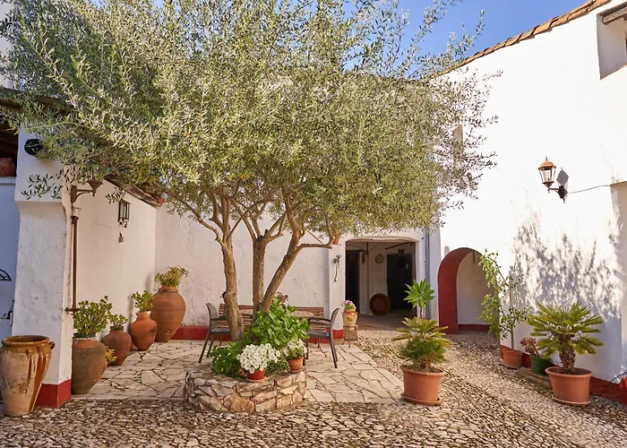 Zarzo del Tragaluz