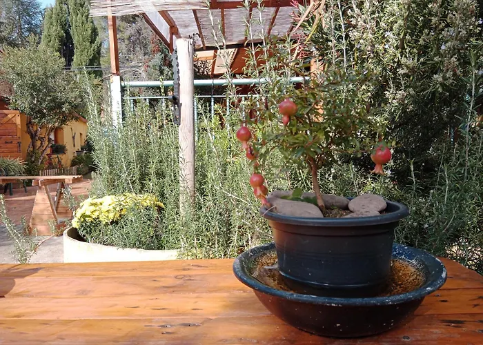 Villa El Pinar De Bardena Carcastillo, España