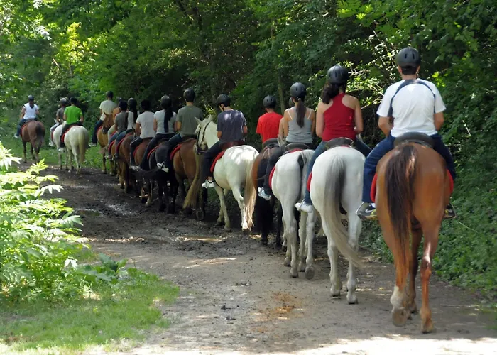 Camping Llavorsi