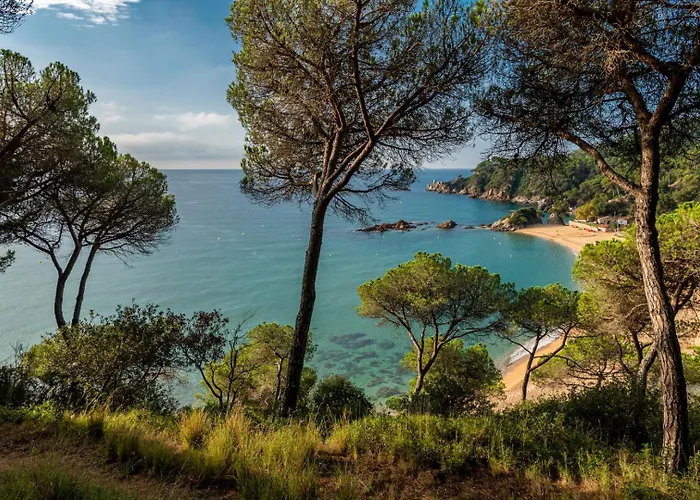 Albamar Apartaments Lloret de Mar, Hiszpania