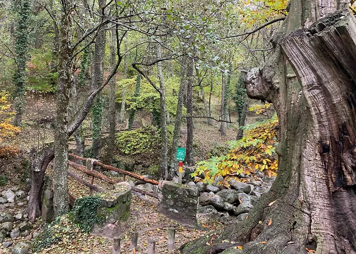 El Refugio de Felix