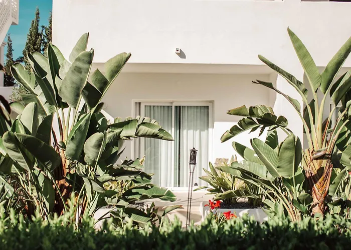 Boutique & Spa Las Mimosas Ibiza (Adults Only)