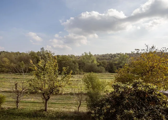 El Rebastral - Mas Vinyoles Natura